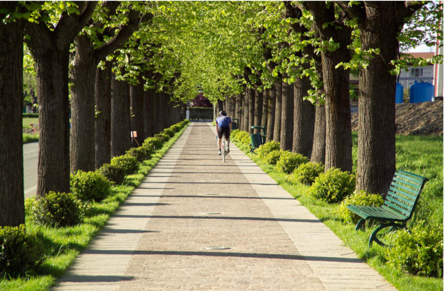 Viale delle Rimembranze - Cisliano